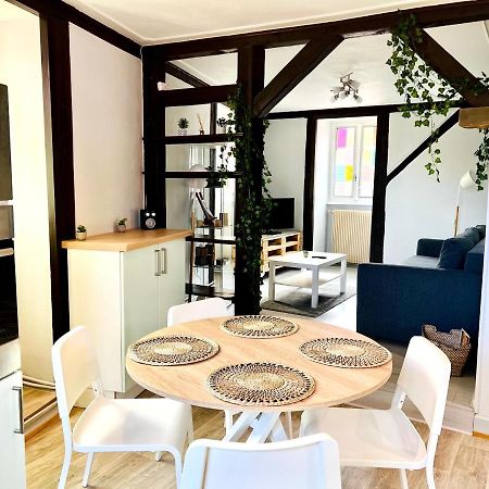 Seppala Charmant Appartement コルマール エクステリア 写真