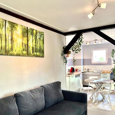 Seppala Charmant Appartement コルマール エクステリア 写真