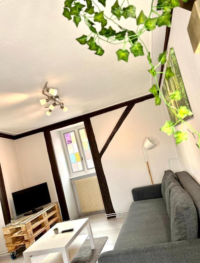 Seppala Charmant Appartement コルマール エクステリア 写真