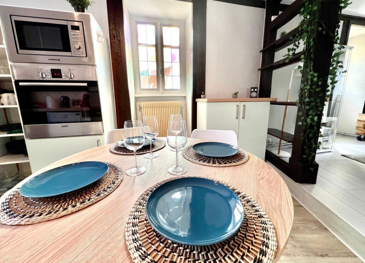 Seppala Charmant Appartement コルマール エクステリア 写真