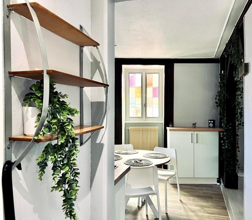 Seppala Charmant Appartement コルマール エクステリア 写真