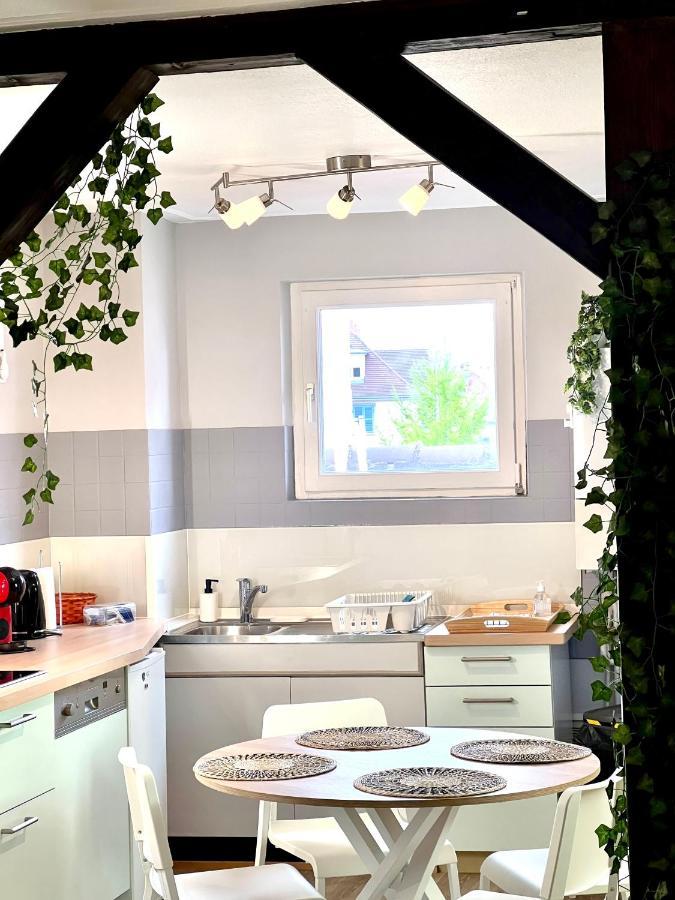 Seppala Charmant Appartement コルマール エクステリア 写真