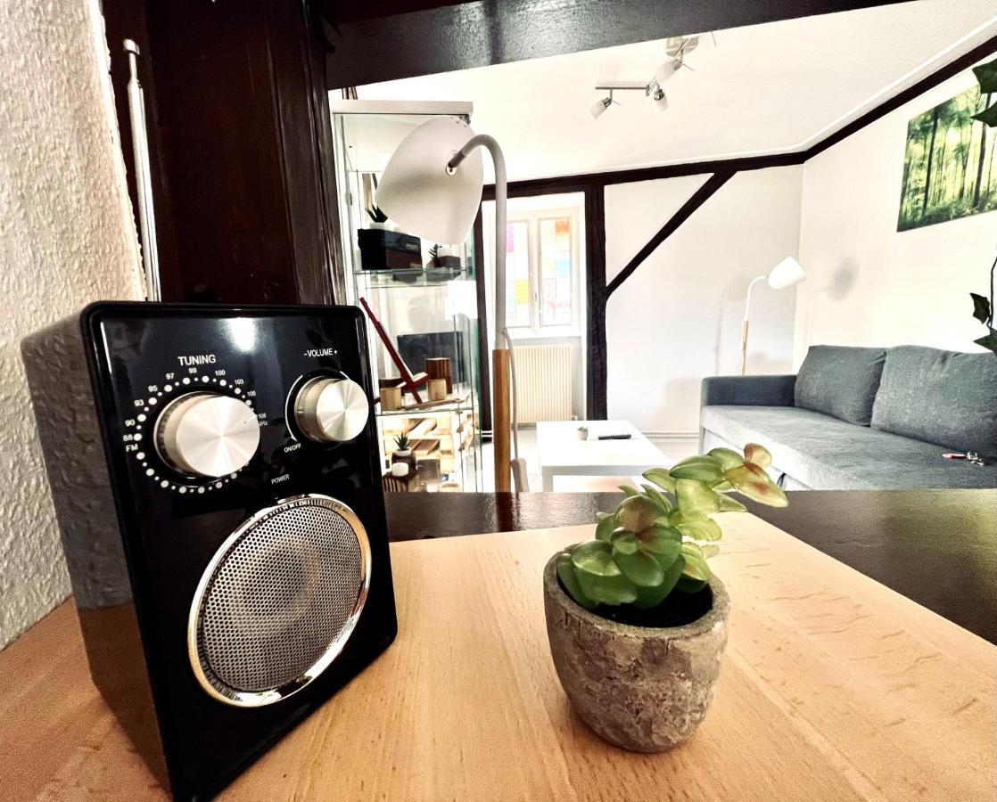 Seppala Charmant Appartement コルマール エクステリア 写真