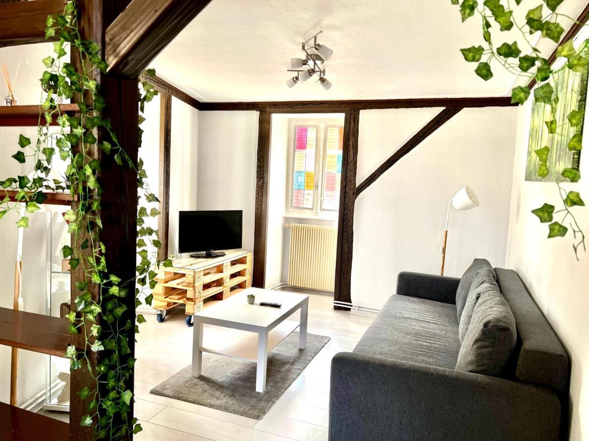 Seppala Charmant Appartement コルマール エクステリア 写真