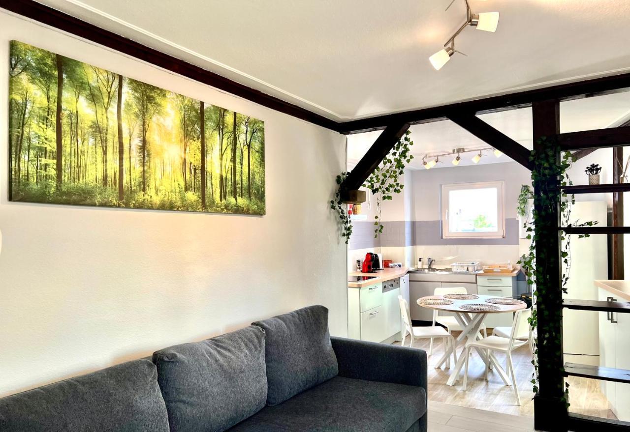 Seppala Charmant Appartement コルマール エクステリア 写真